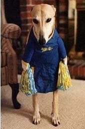 cheerleader dog2.JPG