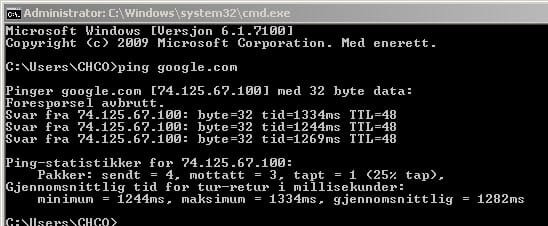 ping google.jpg