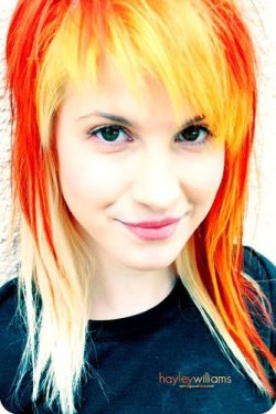 hayley.jpg hayley.jpg