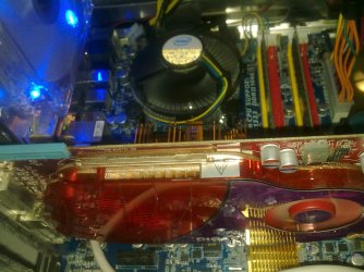 30082009035.jpg