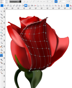 rose_meshfill.png
