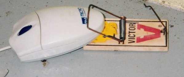 Computer_mouse_trap.jpg