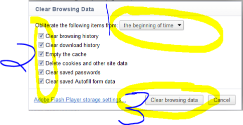 Chrome Browse History.PNG