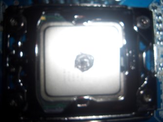 CIMG0317.jpg