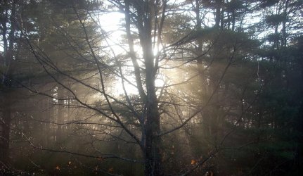 DSCN0294.jpg