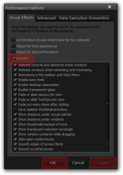 Performance Options.png