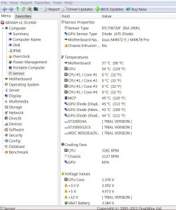 AIDA CORE TEMP.JPG
