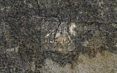 ATI Stone_Ciara.jpg