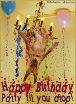 HBDdayPatyTilUDrop.jpg