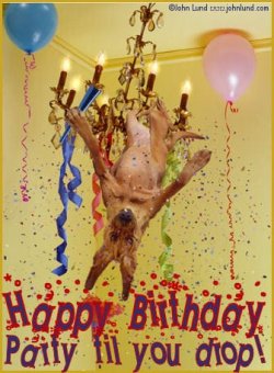 HBDdayPatyTilUDrop.jpg