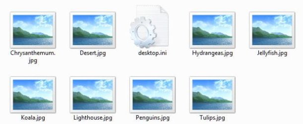 PictureLibrary1.JPG