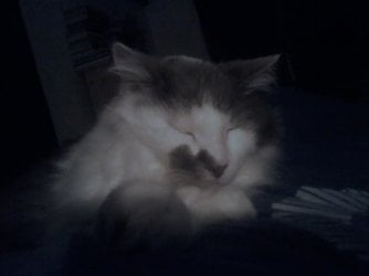 smudge.jpeg smudge.jpeg