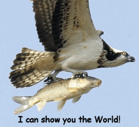 3240923097.png
