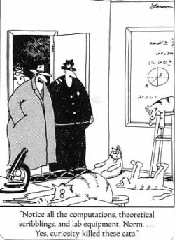 curiosityKillCat.jpg curiosityKillCat.jpg