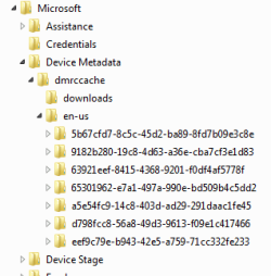 dmtccache en-US subdirectories.png