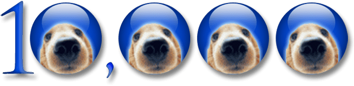 Untitled-2.png