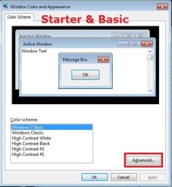 Starter-2.jpg