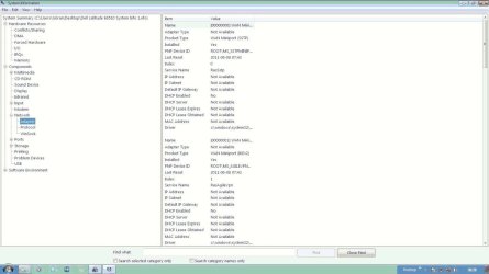 DELL_Latitude_System_Information_Network_Adapter.jpg