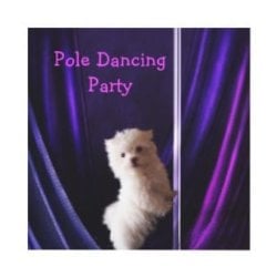 disco_party_maltese_dog_pole_dancing_party_invitation-p1613626359975366782dzjr_310.jpg disco_party_maltese_dog_pole_dancing_party_invitation-p1613626359975366782dzjr_310.jpg