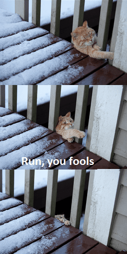 BcE09.png BcE09.png