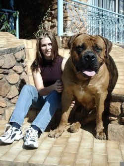 bigdog.jpg bigdog.jpg