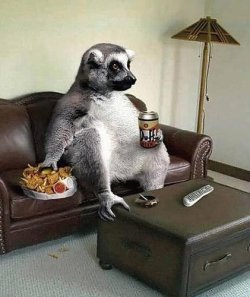 chillin.jpg