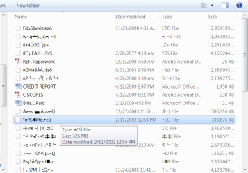Garbled Titles on Flash Drive.png