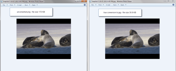 png vs jpg.png