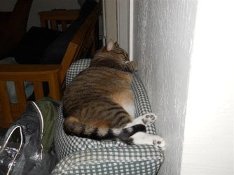 DSCN0129 (Medium).JPG