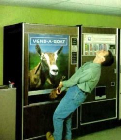 vend-a-goat.jpg