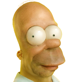 Homer Real.png