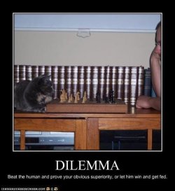 funny-pictures-cat-lets-you-win.jpg