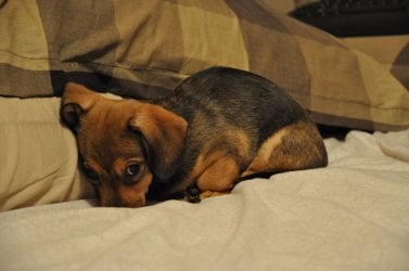 DSC_0397.JPG