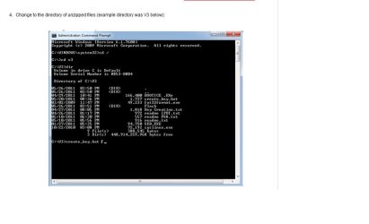 ePSA screen shot.jpg