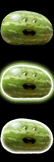 BiggerWatermelon.png