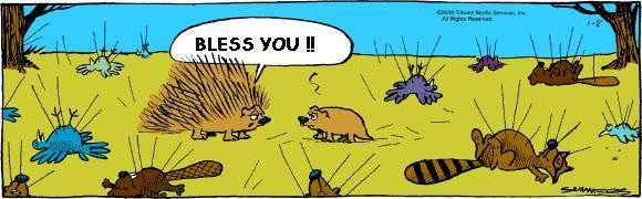 Bless-You.JPG