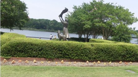 Savannah1.JPG