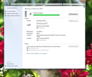 Backup_In_Progress_snip_2.JPG