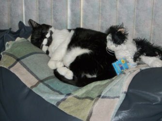 100_0086 (600 x 450).jpg