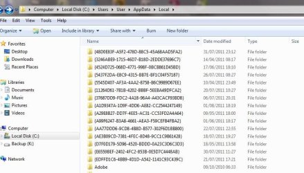 CaptureAppData, Local Files.JPG