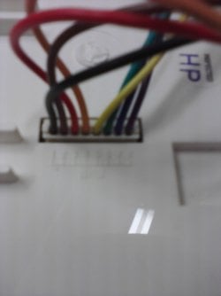 Image07132011160018.jpg