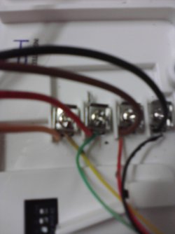 Image07132011160035.jpg