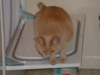 data and dryer.jpg