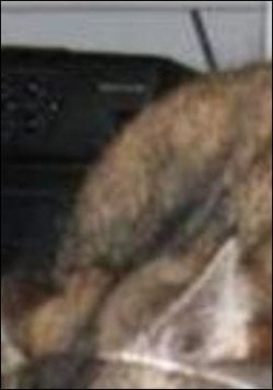 wot8.JPG wot8.JPG