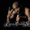 ArtG818