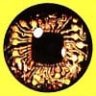 CoKlaComa
