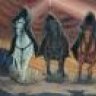 madhorseman