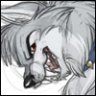 silverhuskey