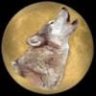 Wolf68k