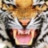 EdtheAminal
